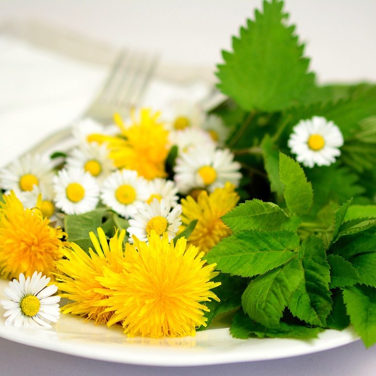 herbs-5140754_1280