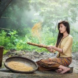 rice-1807554_960_720
