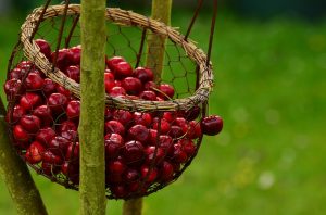 cherries-1503974_960_720