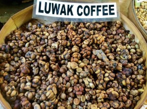 kopi_luwak_coffee