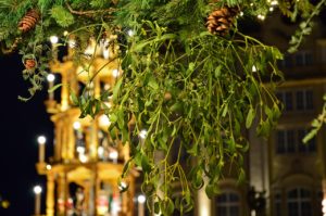 mistletoe-gde69051b5_1280