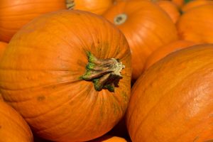 pumpkin-3636243_1920