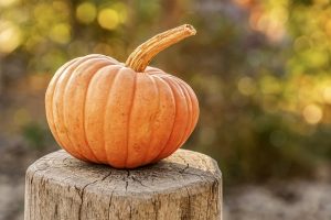 pumpkin-4454745_960_720