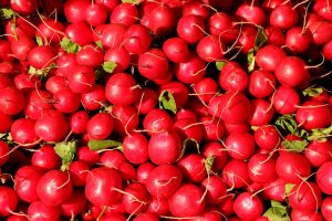 radishes-1623915_1280